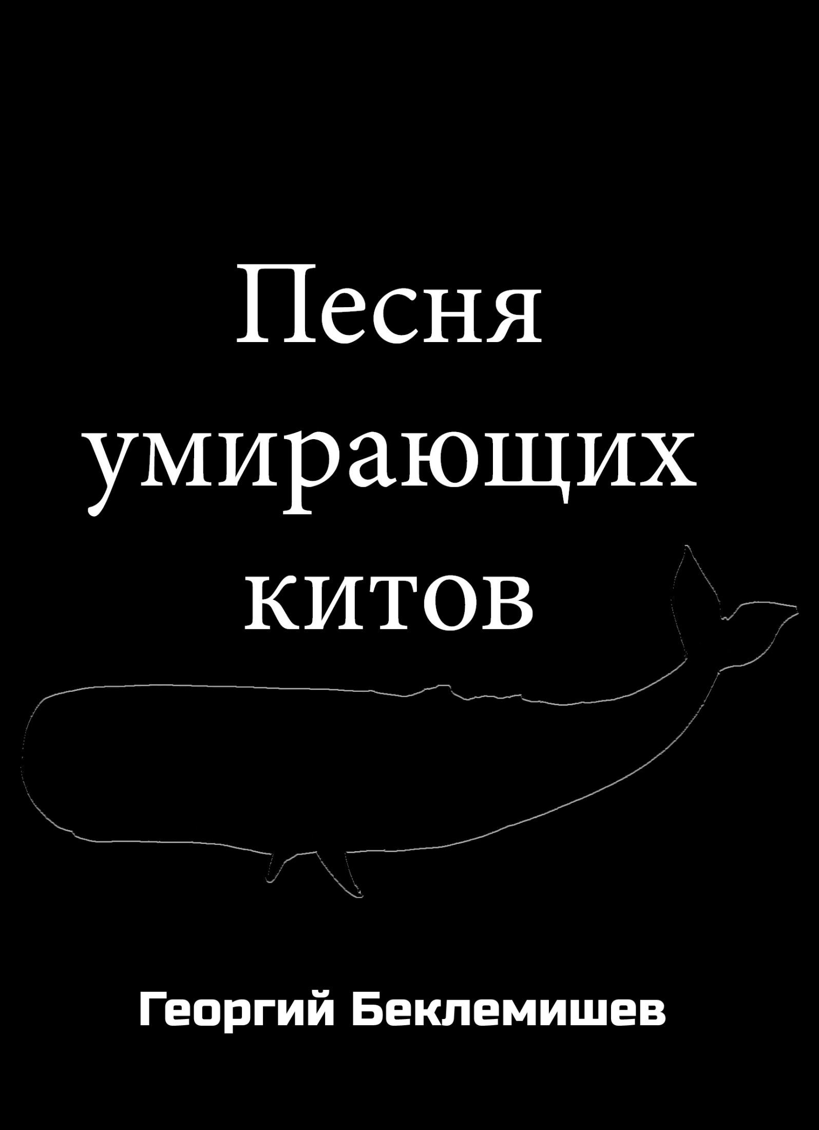 Песня умирающих китов. Георгий Витальевич Беклемишев. Иллюстрация 2