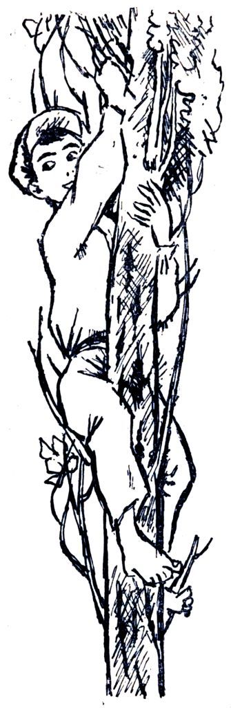 Лунные качели. Эдишер Лаврентьевич Кипиани. Иллюстрация 12