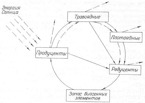 Энергия и жизнь. Николай Савельевич Печуркин. Иллюстрация 11