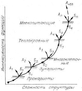 Энергия и жизнь. Николай Савельевич Печуркин. Иллюстрация 32