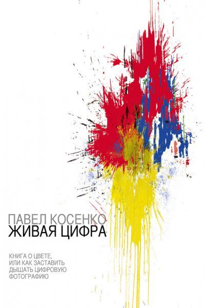 Живая цифра. Павел  Косенко. Иллюстрация 2