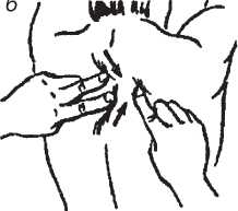 Исцеляющие методики массажа. Комплексный подход. Владимир Иванович Васичкин. Иллюстрация 23