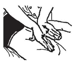 Исцеляющие методики массажа. Комплексный подход. Владимир Иванович Васичкин. Иллюстрация 25