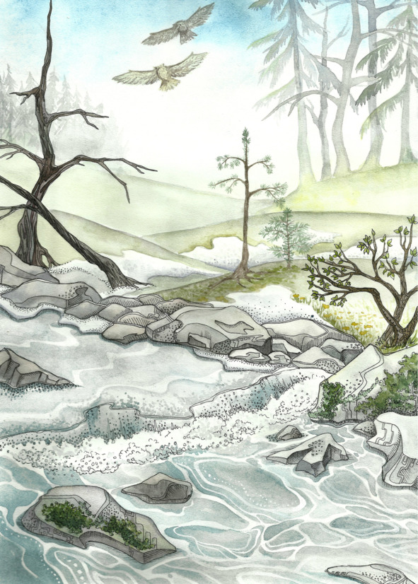 Две Совы, Река и Лес. Ольга  Сеним. Иллюстрация 43