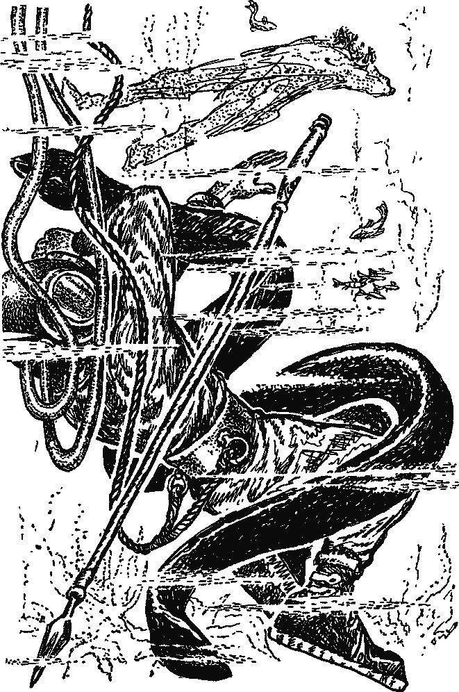 Жангада. Кораблекрушение «Джонатана». Жюль Габриэль Верн. Иллюстрация 16