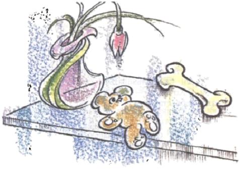 Жемчужина Халиотиса. Юрий Николаевич Кузнецов. Иллюстрация 2