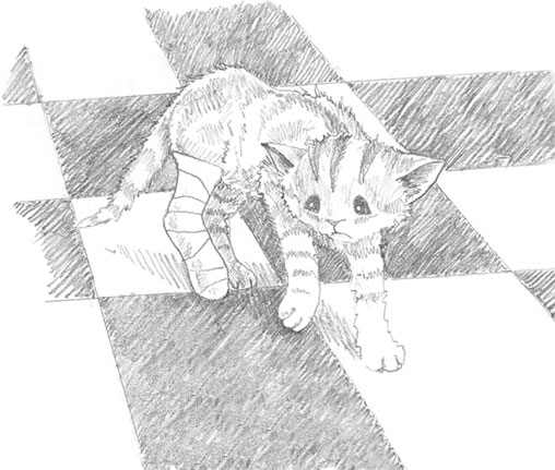 Котёнок Сильвер, или Полосатый храбрец. Холли  Вебб. Иллюстрация 16