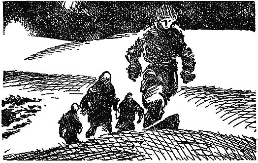 Охотники на жирафов. Переселенцы Трансвааля. Гудзонов залив.. Томас Майн Рид. Иллюстрация 16