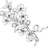 Paleo life. Мудрые привычки счастливого человека