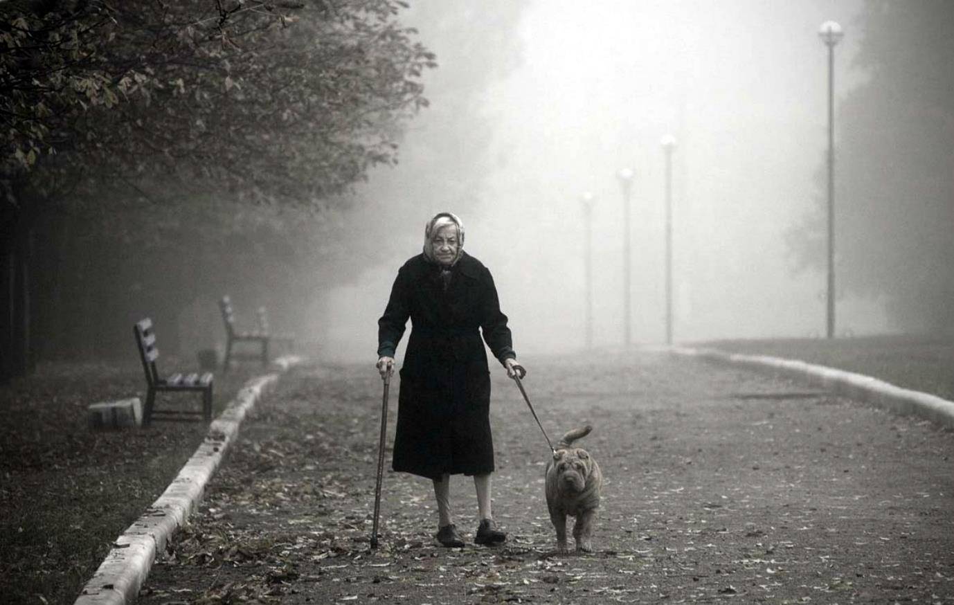 Бывший ходит по пятам. Старушка с собачкой. Бабушка с собакой. Одинокий старик. Одиночество пожилых.