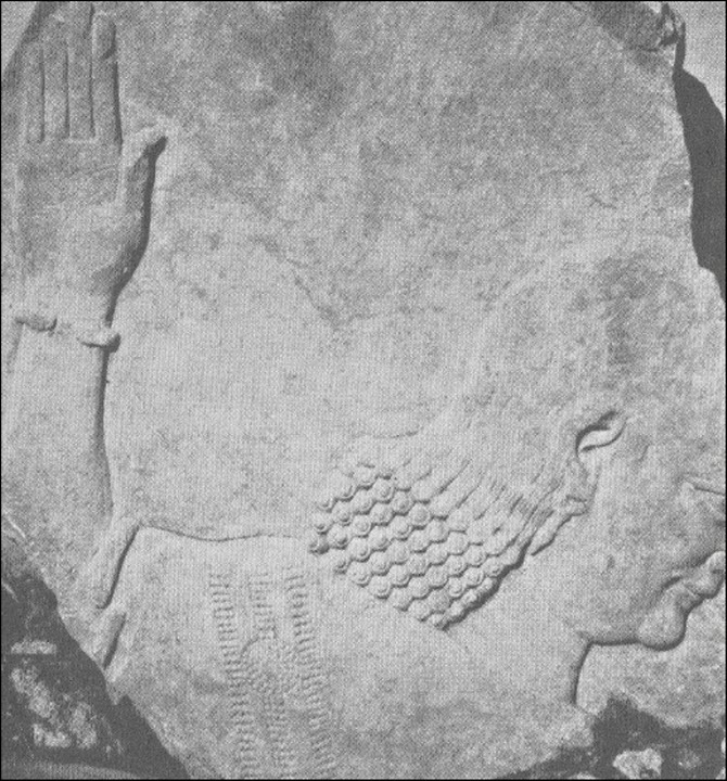 Древние ассирийцы. Покорители народов. Йорген  Лессеэ. Иллюстрация 21