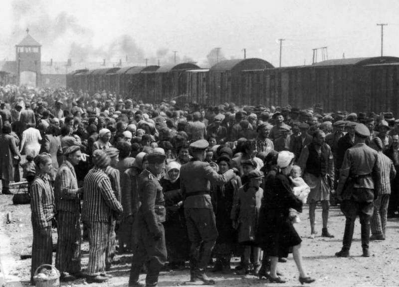 Освенцим: Нацисты и «окончательное решение еврейского вопроса». Лоуренс  Рис. Иллюстрация 24