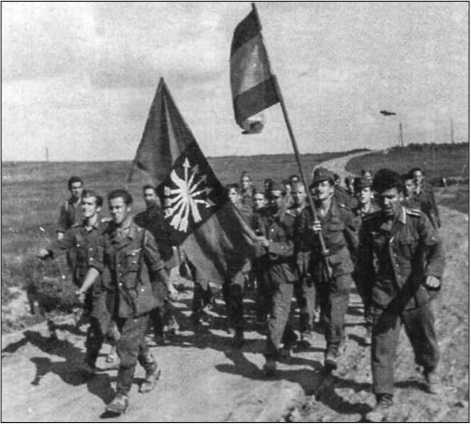 Испанская дивизия — союзник Третьего рейха, 1941–1945 гг..   . Иллюстрация 4