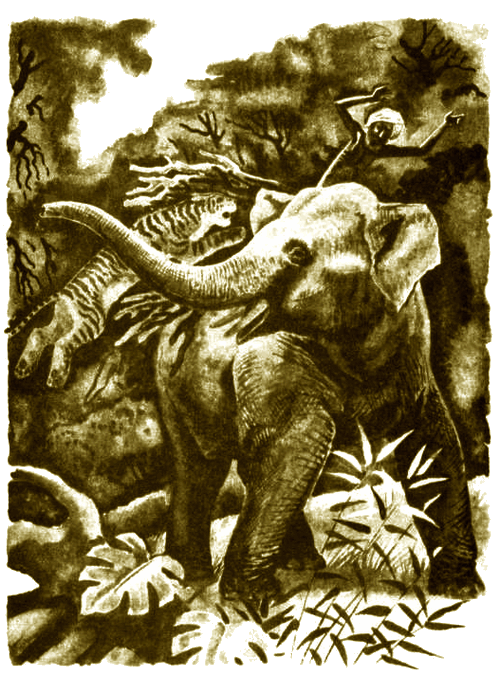 Слон спас хозяина от тигра Житков. Охотник и собаки Житков иллюстрации. Как слон спас хозяина читать