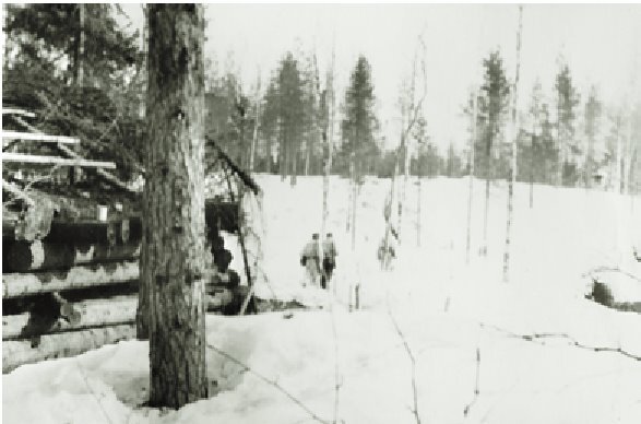 Кровавая бойня в Карелии. Гибель Лыжного егерского батальона 25-27 июня 1944 года. Стейн Угельвик  Ларсен. Иллюстрация 24
