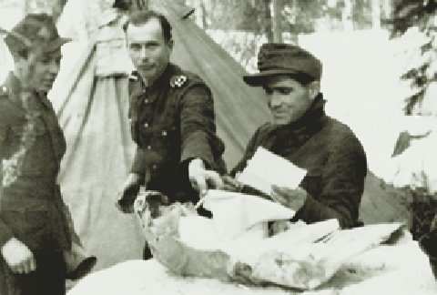 Кровавая бойня в Карелии. Гибель Лыжного егерского батальона 25-27 июня 1944 года. Стейн Угельвик  Ларсен. Иллюстрация 107