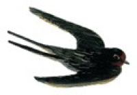 Лидочка. Перрон встреч и прощаний