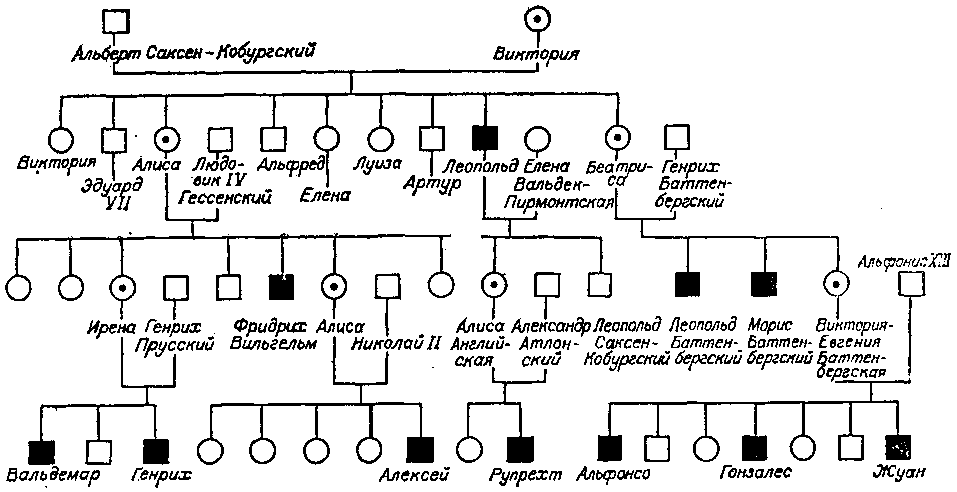 Родословная биология 11 класс. Составьте генеалогическое дерево родословная схема. Родословная схема семьи с наследованием гемофилии. Родословная дерево биология 9 класс. Родословная схема по генетике по поколениям.