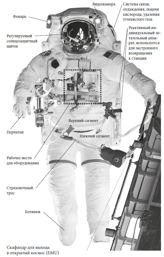 Как стать астронавтом? Все, что вам следует знать, прежде чем вы покинете Землю. Терри  Вёртс. Иллюстрация 11