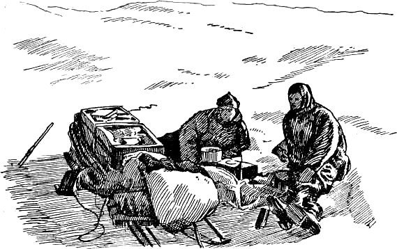 Завоевание полюсов. Эмилия Кирилловна Пименова. Иллюстрация 8