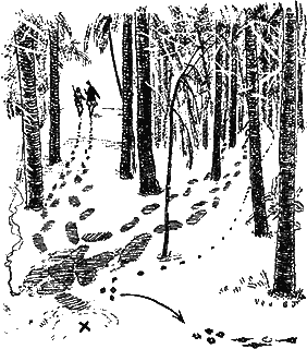 Всемирный следопыт, 1928 № 03. Артур Конан Дойл. Иллюстрация 36