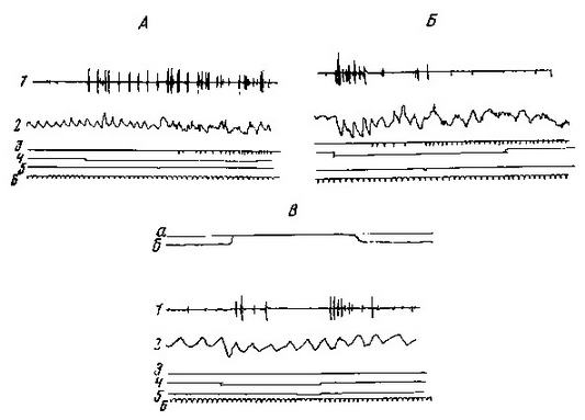 Иван Петрович Павлов (1849 —1936 гг.). Эзрас Асратович Асратян. Иллюстрация 63