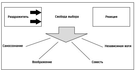 Семь навыков высокоэффективных людей: Мощные инструменты развития личности. Стивен Р Кови. Иллюстрация 11