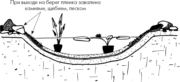 Главные секреты вашего сада и огорода. Павел Франкович Траннуа. Иллюстрация 62