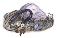 Приказ по шестому полку