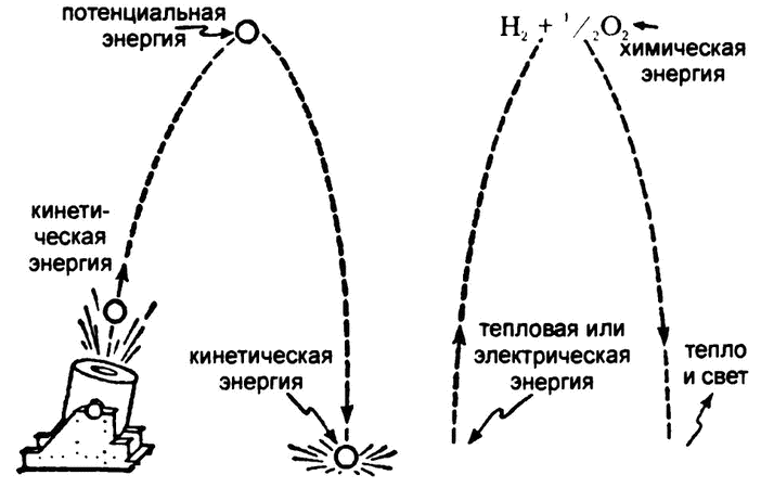 Кинет энергия. Кинетическая и потенциальная энергия схема. Кинетическая и потенциальная энергия примеры. Кинетическая и потенциальная энергия рисунок. Примеры потенципоьной и кинетической эн.