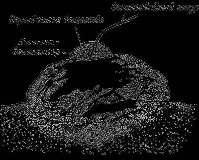 Взрыв и взрывчатые вещества. Константин Константинович Андреев. Иллюстрация 18