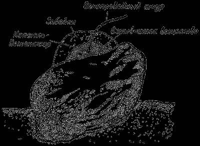 Взрыв и взрывчатые вещества. Константин Константинович Андреев. Иллюстрация 19