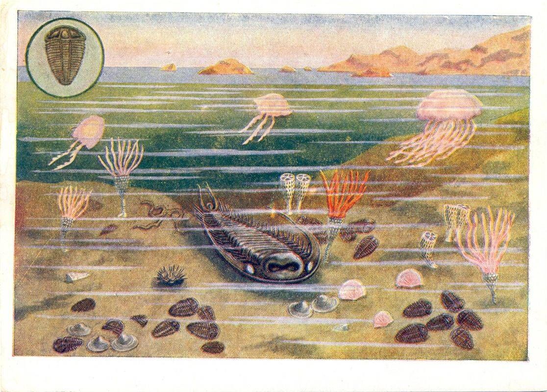 Серия рабочих картин-открыток «Вымершие животные и растения». В В Малинко. Иллюстрация 8