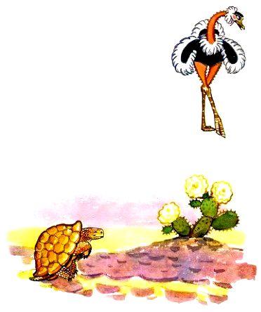 Баруздина улитка. Страус и черепаха Баруздин. Страус и черепаха Баруздин рисунки. Страус и черепаха рисунок для детей. Иллюстрация к сказке страус и черепаха.