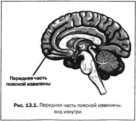 Великолепный мозг в любом возрасте. Дэниел Грегори Амен. Иллюстрация 23