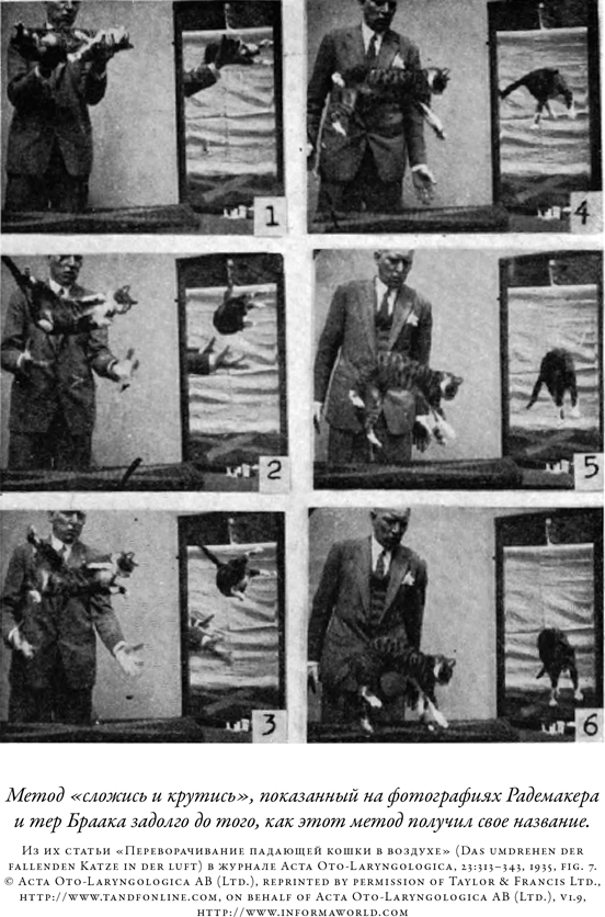 Загадка падающей кошки и фундаментальная физика. Грегори  Гбур. Иллюстрация 43