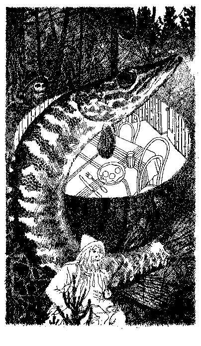 Летнее утро (Сборник). Кир  Булычев. Иллюстрация 11