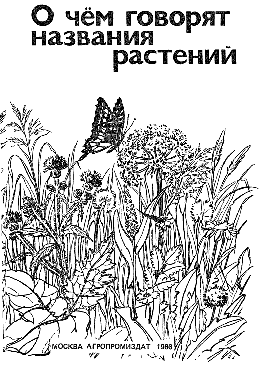 О чем говорят названия растений. Борис Николаевич Головкин. Иллюстрация 4