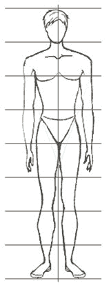 Рисунок человека 8 частей. Тела человека линии фигуры. Пропорции тела человека линии фигуры. Человек деление на части.