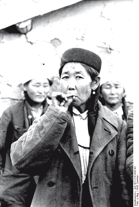 На астраханском направлении. Хулхута – неизвестный участок Сталинградской битвы. Олег Васильевич Шеин. Иллюстрация 7