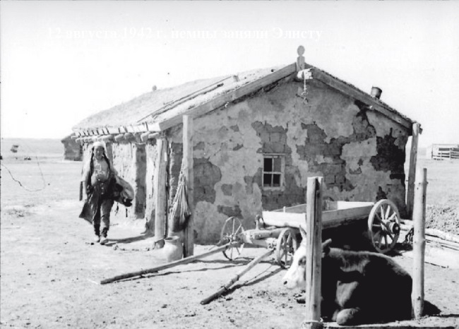 На астраханском направлении. Хулхута – неизвестный участок Сталинградской битвы. Олег Васильевич Шеин. Иллюстрация 28