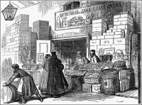 Караси и щуки. Юмористические рассказы