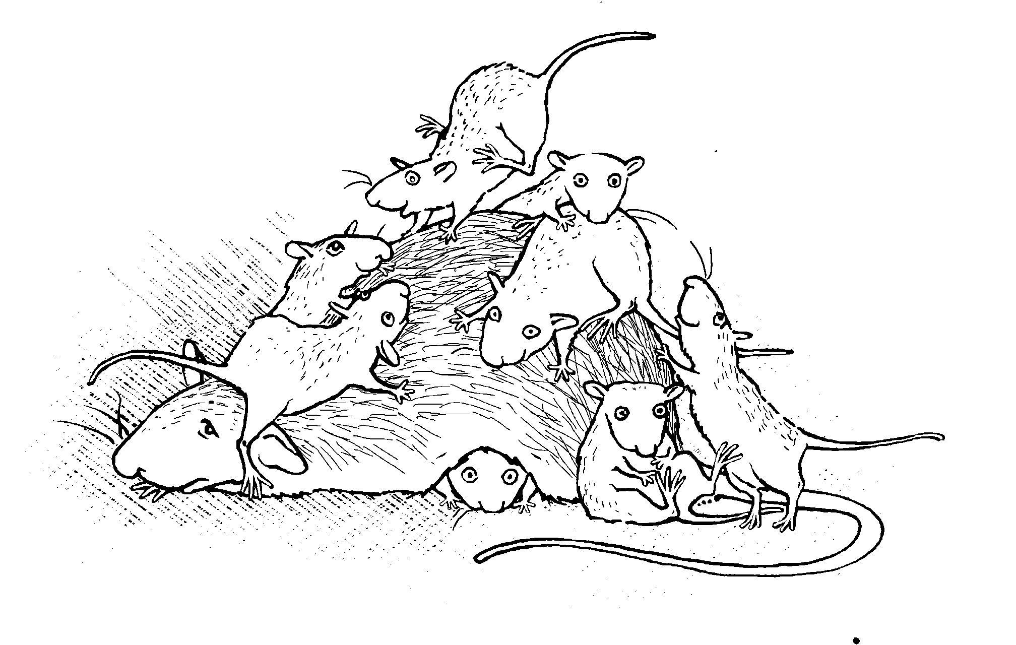 Крысиные бега морале иллюстрации