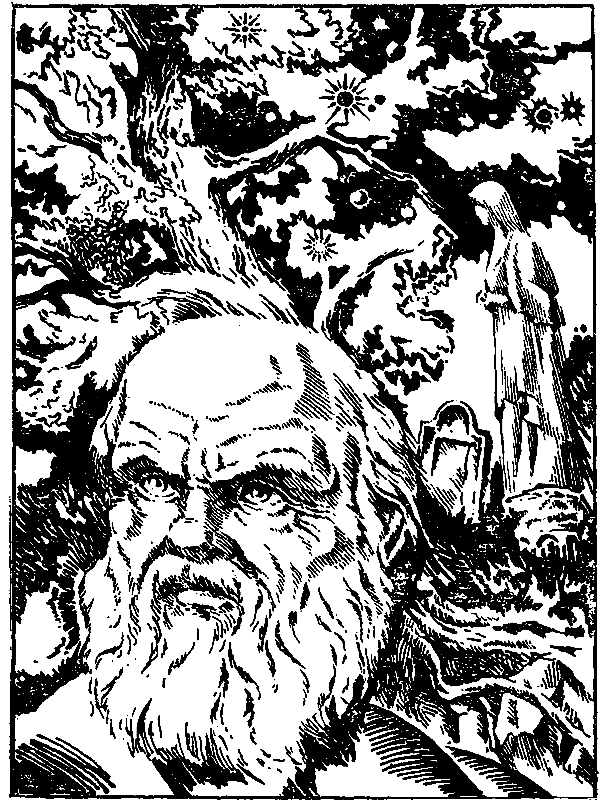 Ночь молодого месяца. Андрей Всеволодович Дмитрук. Иллюстрация 9