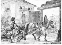 На побывке. Роман из быта питерщиков в деревне