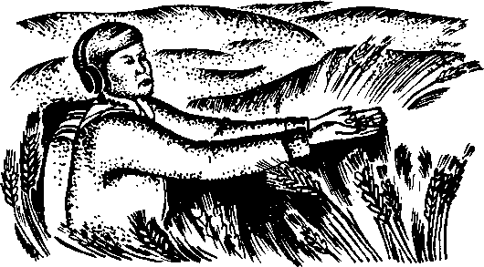 Сияние Каракума (сборник). Аллаберды  Хаидов. Иллюстрация 19