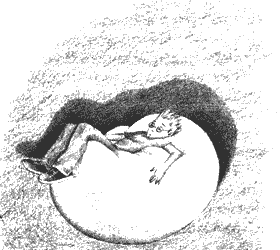 Нина - девочка шестой луны. Муни  Витчер. Иллюстрация 106