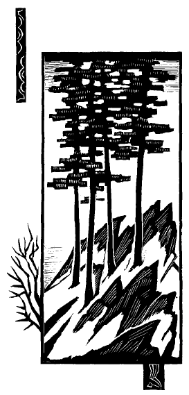 Стихи. Басё  Мацуо. Иллюстрация 21