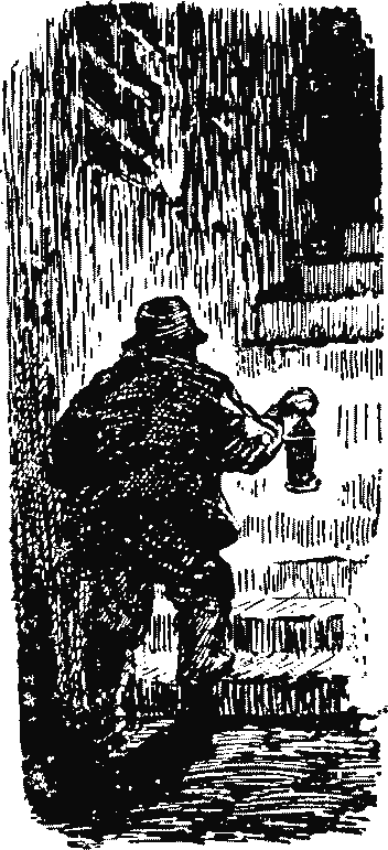 Черный тюльпан. Александр  Дюма. Иллюстрация 34