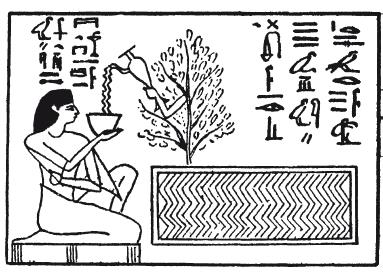Мифы Древнего Египта.   . Иллюстрация 28